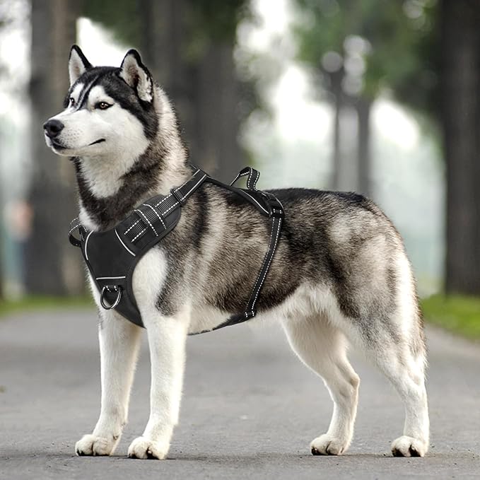 WINSEE Dog Harness No Pull, Adjustable Pet Vest with Front/Back Leash Clips, Reflective Soft Padded Dog Harness for Small Dogs, Easy Control Handle for Walking