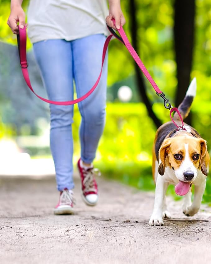 FunTags Reflective Martingale Collar for Dogs, Quick Release Buckle, 5FT Double Handle Dog Leash Padded, Dog Collar and Leash Set, Adjustable for Puppy Dogs (Hotpink, XS)