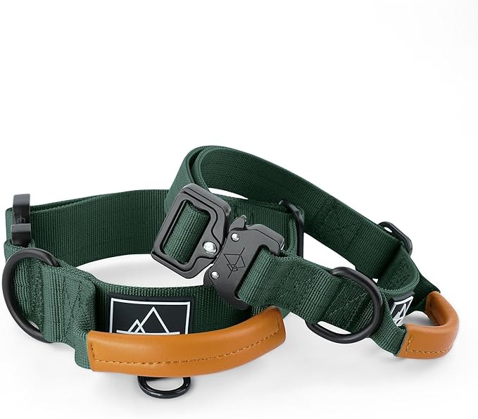 Made to ROAM Premium Explorer Control Collar - Adjustable Heavy Duty Nylon Dog Collar with Quick-Release Metal Buckle and Handle (Maine Marina, Control Size 3)