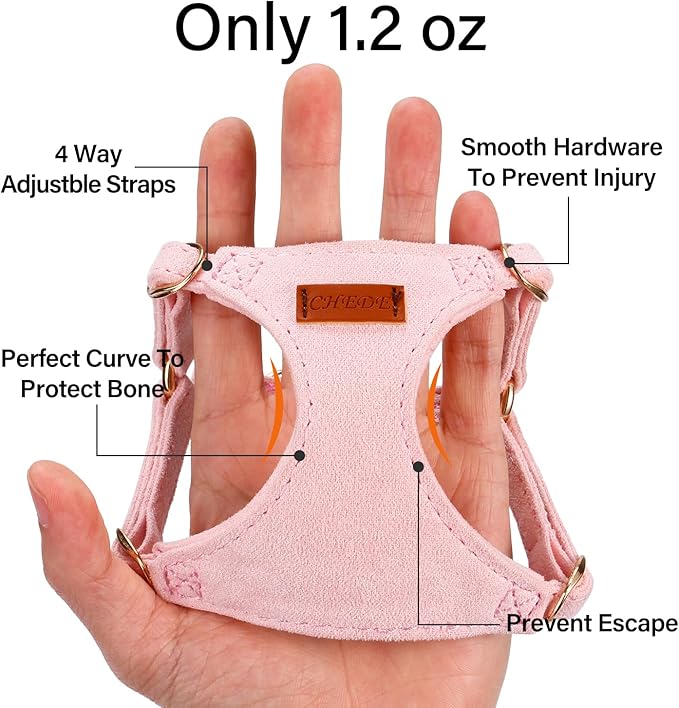 No Pull Dog Harness- Lightweight, Soft, Adjustable Small Harness Collar and Leash Set, Suitable for Cats Puppy Small and Medium-Sized Dog Outdoor Training and Running (Pink, XS)