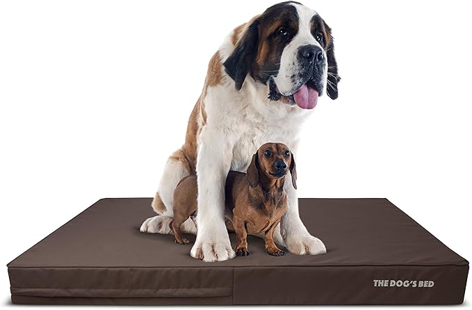 The Dog’s Bed Orthopedic Memory Foam Dog Bed, XXXL Grey with Black Trim 64x44, Pain Relief for Arthritis, Hip & Elbow Dysplasia, Post Surgery, Supportive, Calming, Veterinary Approved