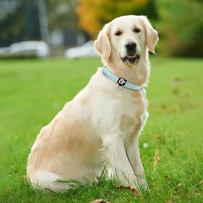 azuza Reflective Dog Collar,Soft Neoprene Padded Pet Collar with ID Tag Ring,Adjustable for Large Dogs,Teal,L