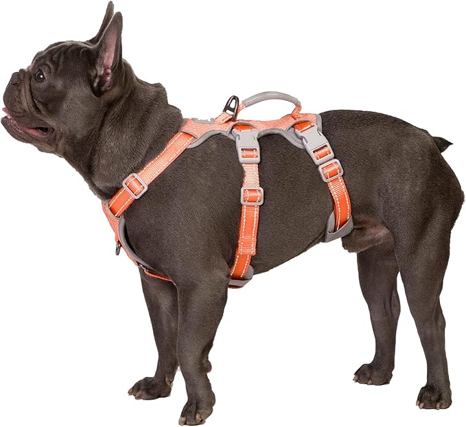 Escape Proof Dog Harness, Escape Artist Harness, Fully Reflective Harness with Padded Handle, Breathable, Durable, Adjustable Vest for Small Dogs Walking, Training, and Running Gear (Orange,S)