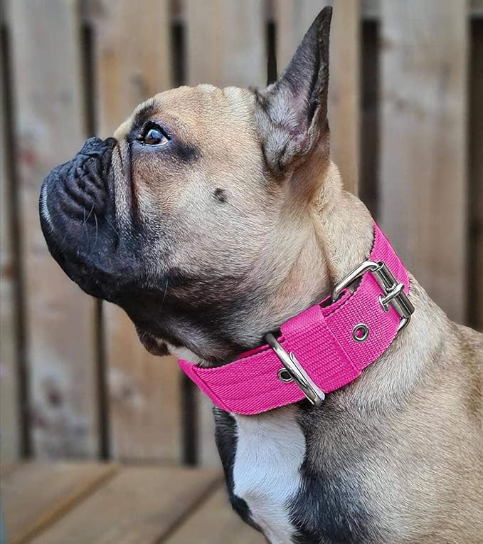 Heavy Duty Tactical Dog Collar - 1.5" Width Military Durable Thick Nylon with Adjustable Metal D Ring & Buckle Working Training K9 Collar for Medium Large Dogs (XL(23"-26"), Hot Pink)