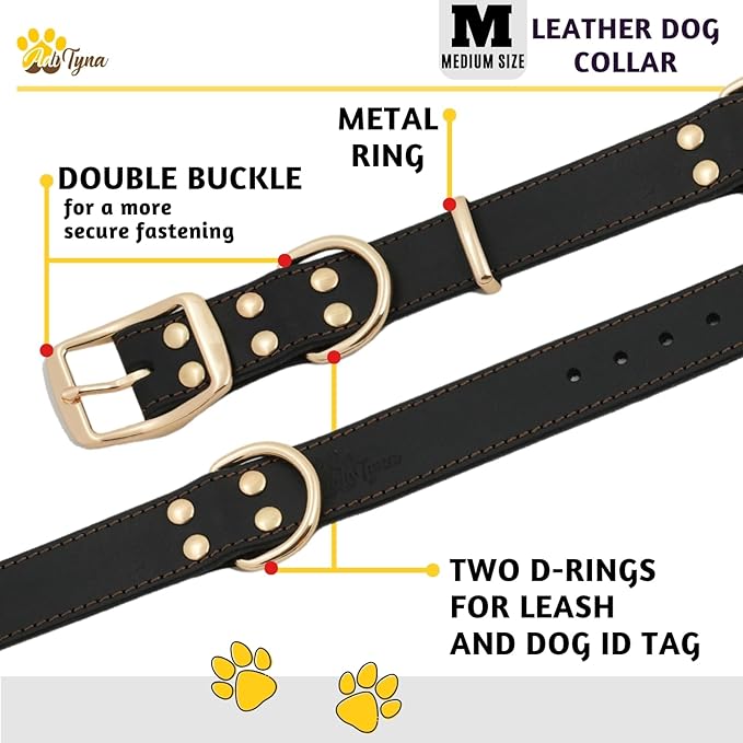 ADITYNA Heavy Duty Leather Dog Collar for Medium Dogs - Soft and Strong Leather Collar for Walking, and Training (Black - Gold Colored Buckle, Medium: Fit 13" - 20" Neck)