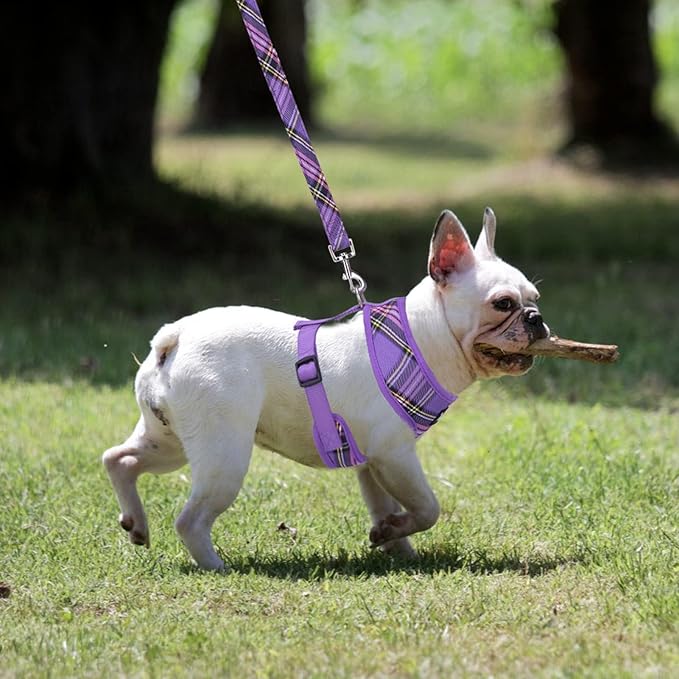 PUPTECK Soft Mesh Dog Harness and Leash Set Pet Puppy Cat Comfort Padded Vest No Pull Harnesses, Purple, L