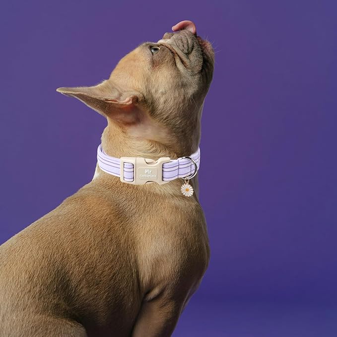 Cotton Dog Collar, Cute Lavender Summer Puppy Collar with Plastic Buckle, Adjustable Soft Natural Fabric Pet Collar for Small Medium Large Dogs