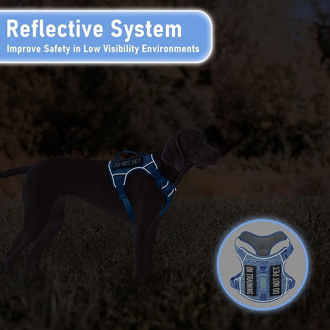 No Pull Dog Harness for Large Dogs with 2 Metal Clips, Easy On/Off with Neck Buckle, Heavy Duty Adjustable Tactical Puppy Vest, Breathable Pet Harness with Easy Control Handle, Blue L