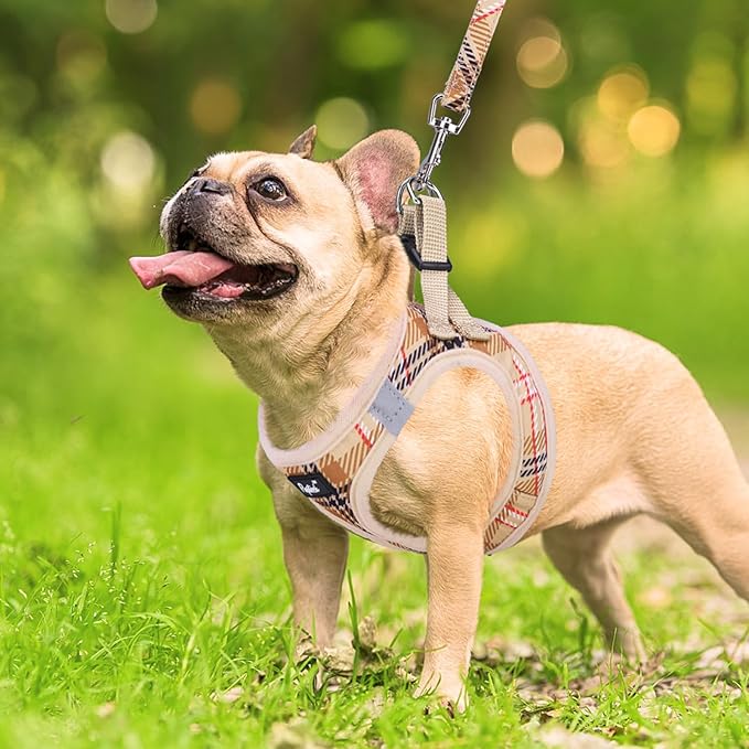 PUPTECK Dog Harness and Leash Set for Small Medium Dogs No Pull Step-in Soft Mesh Puppy Cat Vest Harnesses Reflective at Night, Plaid Pattern Beige L