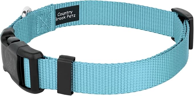 Country Brook Petz - American-Made Dog Collar for Large, Medium, and Small Dogs and Puppies - Deluxe Heavy Duty Nylon in 33 Dazzling Colors (Large, 1 Inch Wide, Ocean Blue)