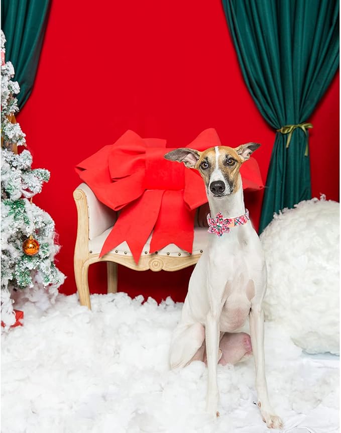 Unique style paws Dog Collar with Flower Pink & Green Plaid Dog Collar Best Gifts for Small Medium Large Dogs -XS