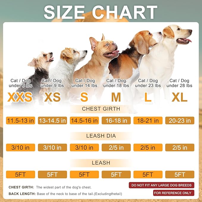 BEAUTYZOO Small Dog Harness and Leash Set,Step in No Choke No Pull Soft Mesh Dog Harnesses Reflective for Extra-Small Medium Puppy Dogs and Cats, Plaid Dog Vest Harness for XS S Pets, Grey S