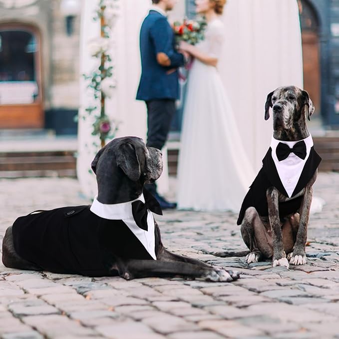 QBLEEV Tuxedo for Small Dogs, Suit and Bandana Set, Wedding Outfit With Bow Tie, Formal Tux Costume for Halloween, Christmas, Birthday Party, Cosplay, Black S