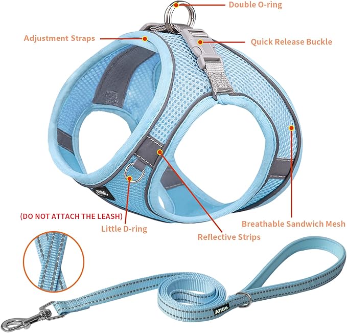 AIITLE Comfortable Dog Harness and Leash Set for Walking - Spring Step in Vest Harness,Reflective Bands, Adjustable No Pull Puppy Essentials, for Small Dogs and House Cats Pure Blue XS
