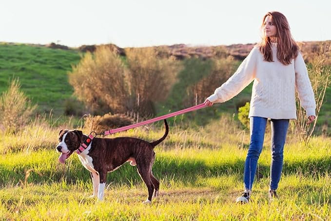 Reflective Dog Collar and Leash Set with Safety Locking Buckle Nylon Pet Collars Adjustable for Small Medium Large Dogs 3 Sizes(Hotpink&M)