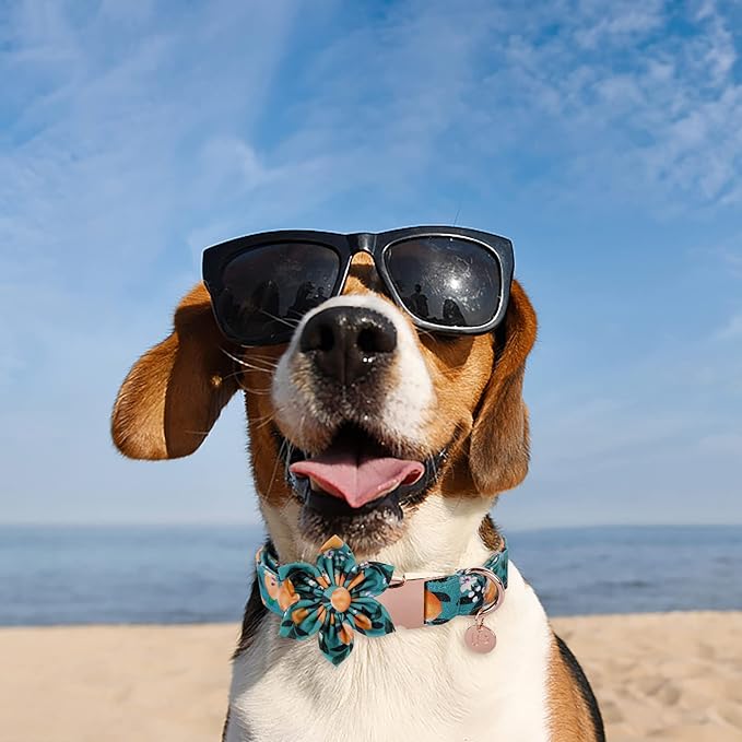 Dog Collar with Flower, Durable Comfortable Cotton Dog Flower Collar with Metal Buckle for X-Large Dog Girl, Summer Cute Dog Collar, XL