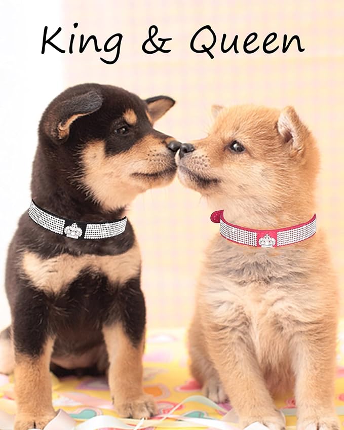 Dog Collar for Small Dogs, Adjustable Leather Suede Bling Dog Collars，Pink Dog Collar Cat Collar, Rhinestone Dog Collar (M, purple3)