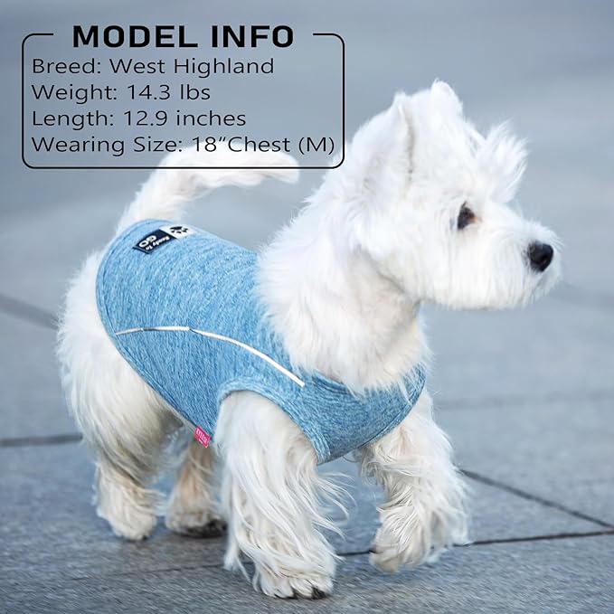 KYEESE 2Pack Dog Shirt Lightweight Breathable Dog Clothes for Small Dogs Sports Athletic with Reflective Stripe Athletic Tank Top,Lake Blue+Rose Red,L