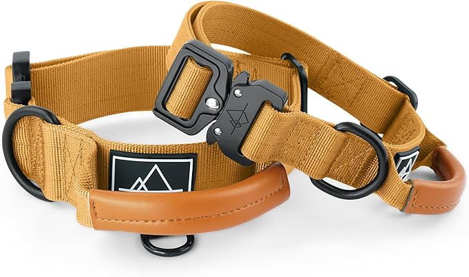 Made to ROAM Premium Explorer Control Collar - Adjustable Heavy Duty Nylon Dog Collar with Quick-Release Metal Buckle and Leather Handle (Michigan Autumn, Size 2, Control)