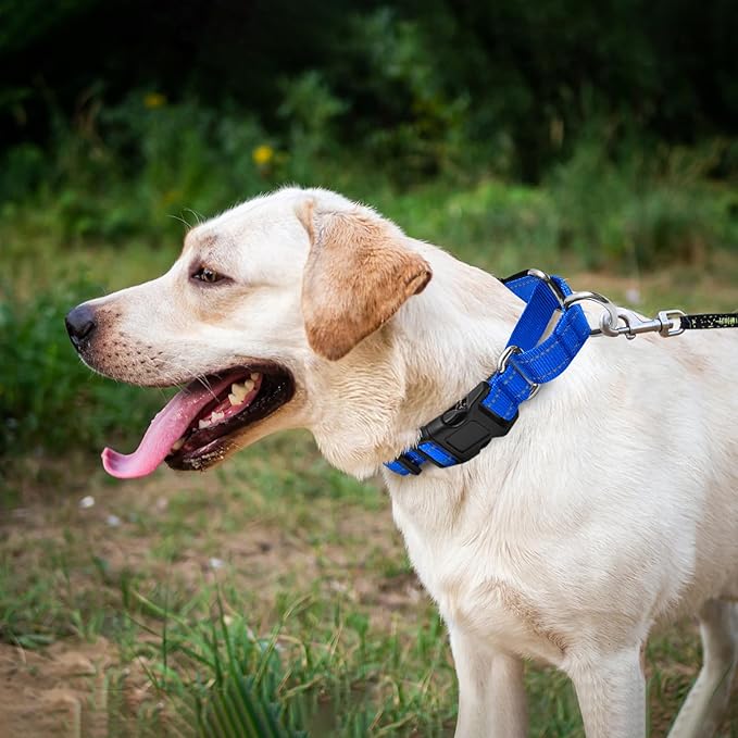 Reflective Martingale Dog Collars. Dog Collar with Quick Release Buckle. Adjustable Soft Padded Breathable Nylon Pet Collar Suitable for Puppies for Small Medium Large Dogs.
