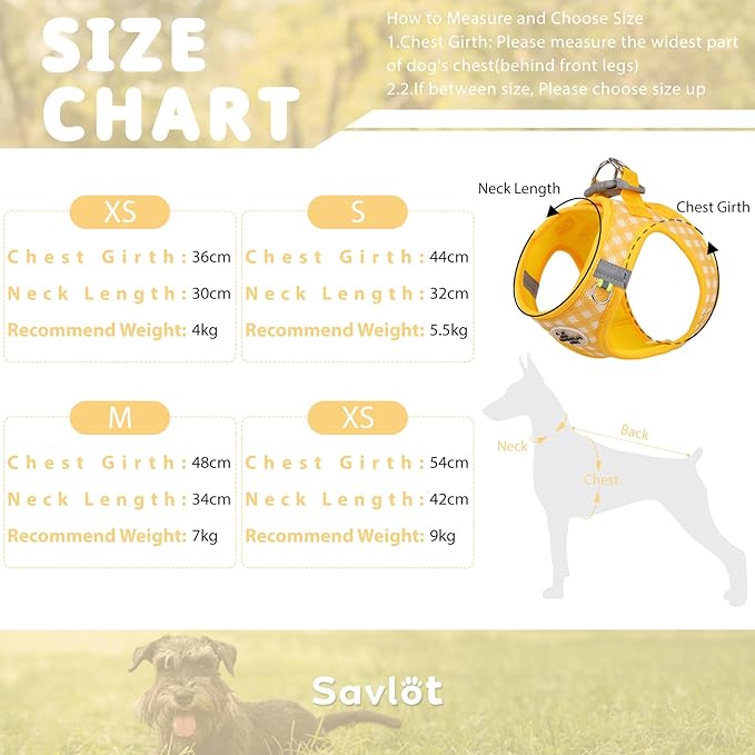 Gyuzh Dog Harness and Leash Set,Soft Mesh Breathable Small Dog Harness,Reflective Adjustable Puppy Harness,No Pull Pet Harness for Small Dogs and Cats