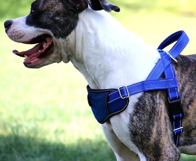 Max and Neo Passport Reflective Dog Harness - We Donate a Harness to a Dog Rescue for Every Harness Sold (X-Large, Blue)