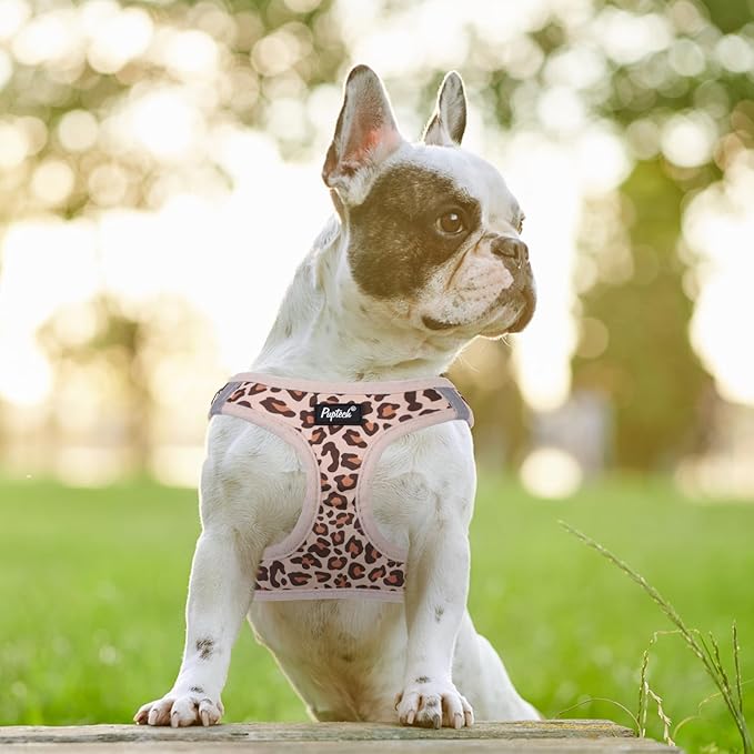 PUPTECK Dog Harness and Leash Set for Small Medium Dogs No Pull Step-in Soft Mesh Puppy Cat Vest Harnesses Reflective at Night, Brown Leopard Print, S