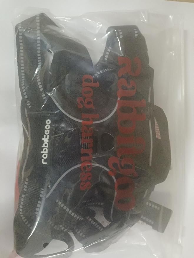 rabbitgoo Dog Harness No Pull with 2 Leash Clips, Adjustable Soft Padded, Reflective Oxford No Choke Pet Vest with Easy Control Handle for Large Dogs, Blue Coral, XL