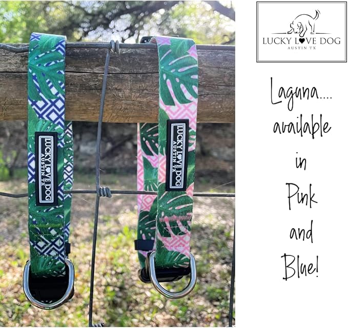 Lucky Love Dog, Tropical Matching Dog Collar & Leash Set, Soft & Comfy, Vivid Pink Color Collar and Leash for Female Male Dogs - (Medium, Laguna Combo)