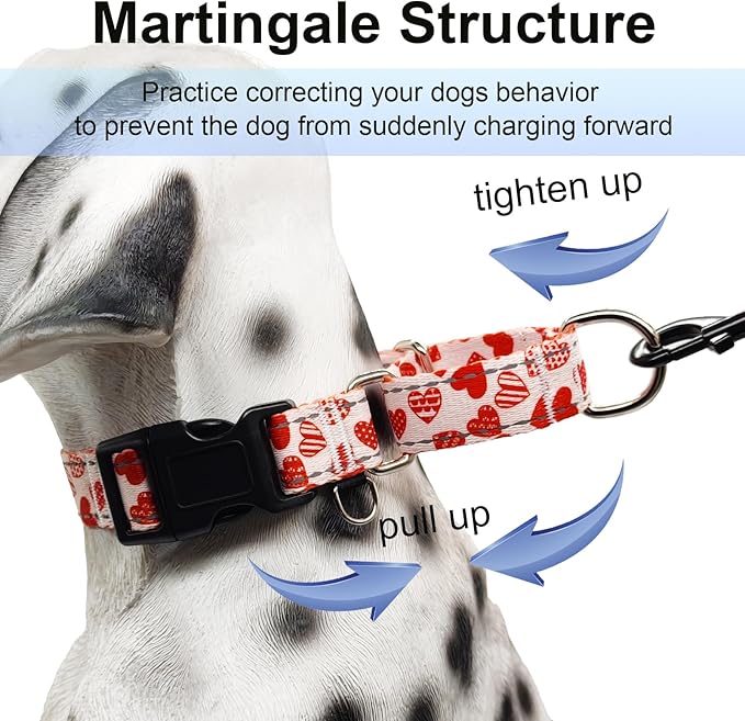 Valentines Reflective Martingale Collar for Dogs with Quick Release Buckle Cute Girl No Pull Dog Collars (Red Heart, Small)
