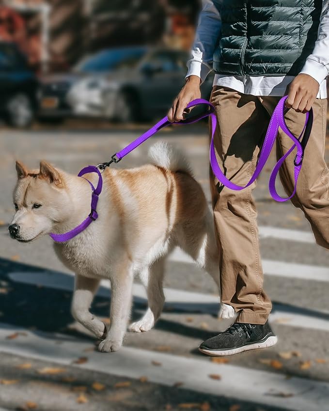 FunTags Reflective Martingale Collar for Dogs, Quick Release Buckle, 5FT Double Handle Dog Leash Padded, Dog Collar and Leash Set, Adjustable for Medium Dogs (Purple, M)