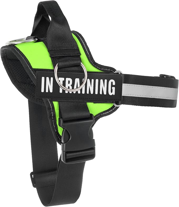 Essential Dog Harness, No Pull Pet Harness with 3 Side Rings for Leash Placement, No Choke, Reflective, Adjustable Pet Vest, Easy On-Off & Improved Control Handle, Training, Walking, Running