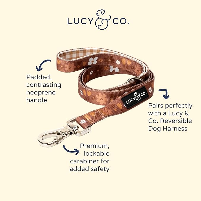 Lucy & Co. 5 Foot Designer Dog Leash for Small, Medium or Big Dogs or Puppies Puppy – Pet Accessories & Supplies –(Chocolate Meadow, Large)