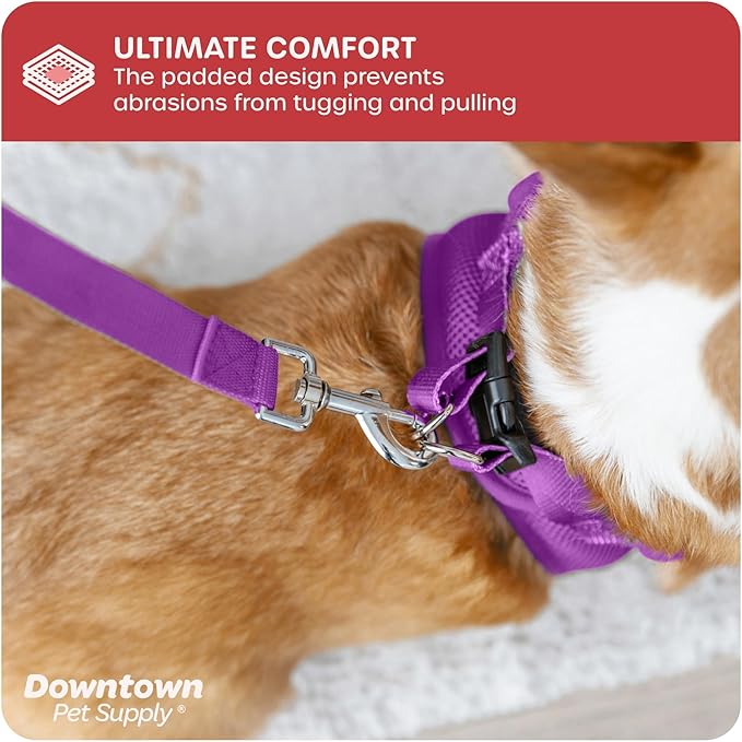 Downtown Pet Supply Step in Dog Harness for Small Dogs No Pull, Small, Purple - Adjustable Harness with Padded Mesh Fabric and Reflective Trim - Buckle Strap Harness for Dogs
