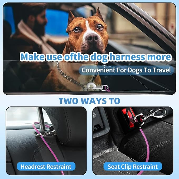 Dog Seat Belt Harness for Car,Dog Seatbelt of Coated Wire Leash Safety Restraint,No Chew Tether Cable Vehicle,Double Clips & Latch(Purple, 16 inch/40 CM)