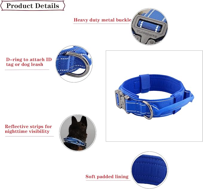 Tactical Dog Collar with Heavy Duty Metal Buckle and Control Handle for Medium Large Dogs Training(Bright Blue, Medium)