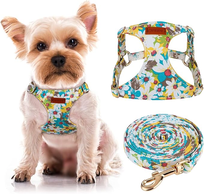 CHEDE No Pull Floral Pattern Dog Harness- Lightweight and Soft Dog Harness, Adjustable Small Dog Harness and Leash Set, with Dog Leash, Suitable for Puppy Small and Medium-Sized Dog
