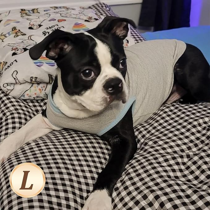 KYEESE 2Pack Dog Shirts Waffle for Small Dogs Stretchy Pet T-Shirts Lightweight Dog Tank Top Sleeveless Dogs Vest Breathable, Large, Blue+Grey