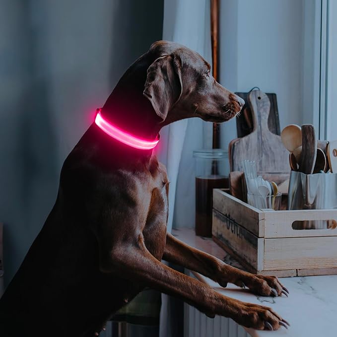 Illumifun LED Dog Collar - USB Rechargeable Light Up Dog Collar, Adjustable Safety Collar Light for Your Dogs Glow in The Dark (Pink, Medium)