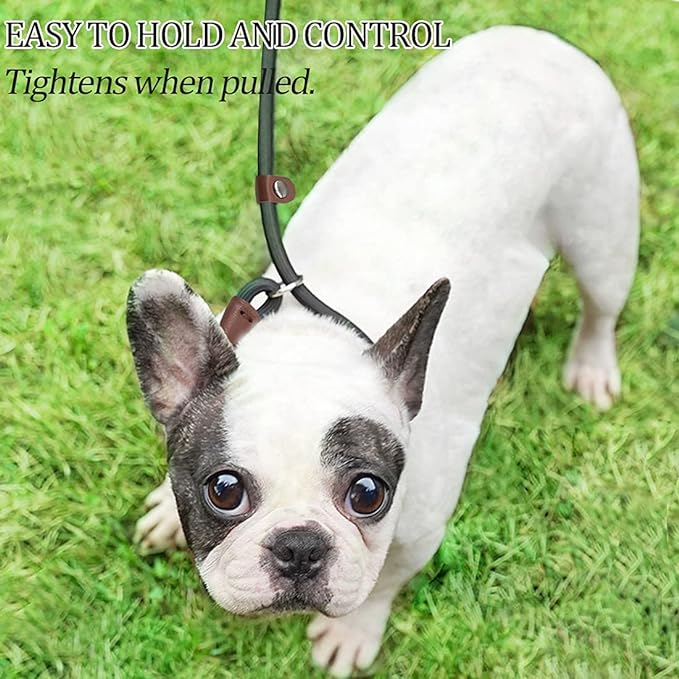 MayPaw Slip Lead Control Leash for Dogs No Pull, 13+ Colors Classic Dog Lead 7 FT Pet Slip Leash, 1/4” Rope Leashes for Small Medium Animals (7ft*1/4", Red)