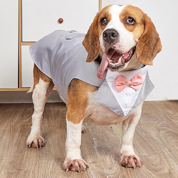 Tuxedo Dog Collar for Wedding Engagement and Birthday, Formal Dog Bandana Collar Costume with Bow Tie and Adjustable Buckle,Suitable for Small Medium Large Dog. (Gray, S)