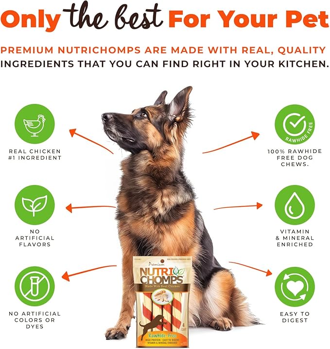 NutriChomps Dog Chews, 6-inch Twists, Easy to Digest, Rawhide-Free Dog Treats, 4 Count, Real Chicken flavor