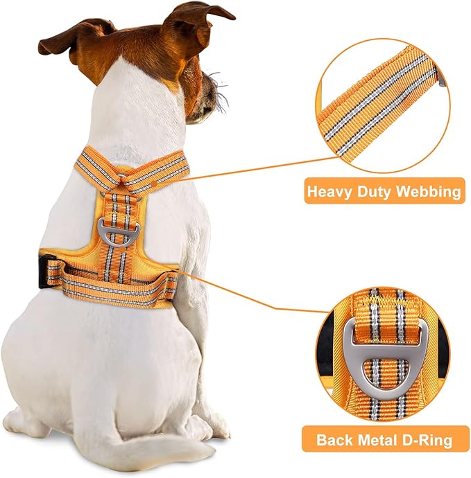 Petmolico No Pull Dog Harness Leash Set, Front and Back Metal Clips Easy Walk Dog Harness with Handle for Training Outdoor Adventures, Yellow Small