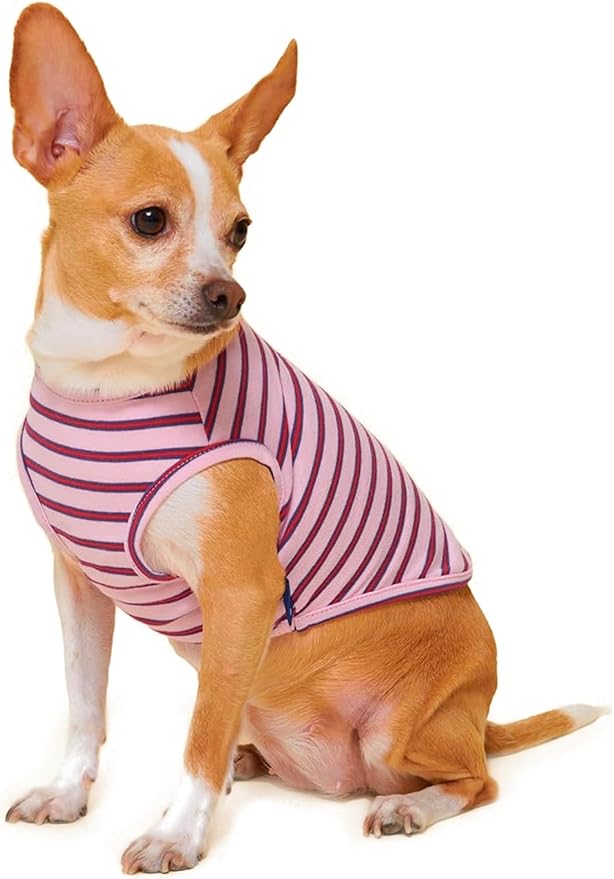 Little Beast Dog Clothes - Pet Clothes for Large, Medium, and Small Dogs (Dog Shirts Come in Multiple Colors and Styles) - Size: XX-Small Dogs, Pink