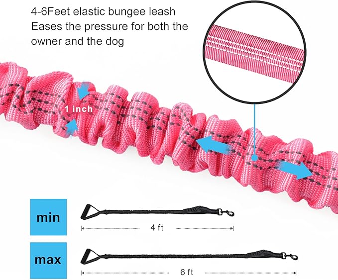6FT Highly Reflective Heavy Duty Elastic Bungee Medium and Large Dog Leash Shock Absorbing with Comfortable Padded Handle and Traffic Handle Suitable for Training