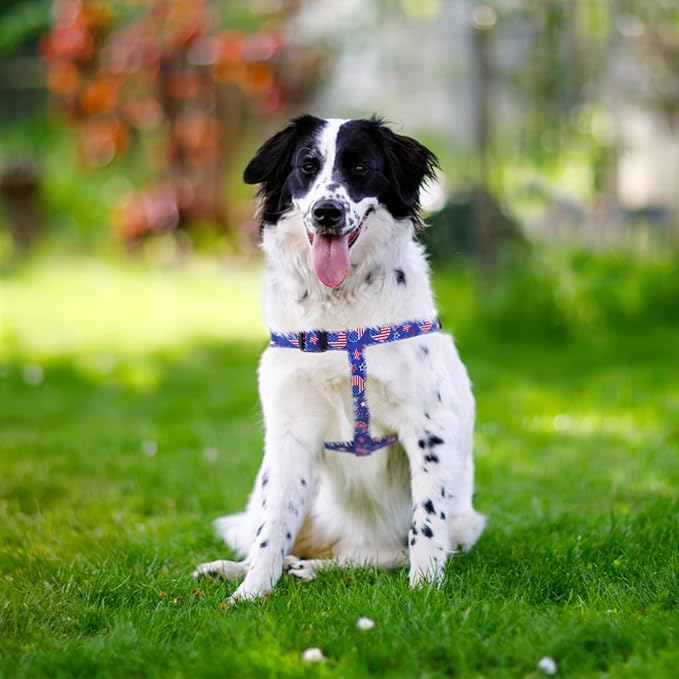 PUPTECK No Pull Dog Harness Soft Adjustable Basic Nylon Step in Puppy Vest Outdoor Walking with ID Tag, American Flag, M