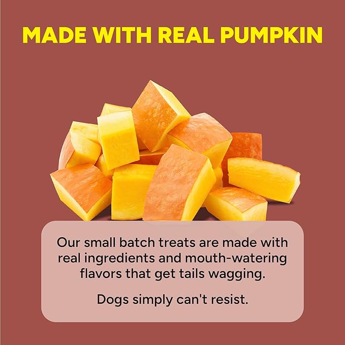 Cloud Star Dynamo Dog Tummy Treats – Soft & Chewy Probiotics Support for Dogs (14 oz. Pumpkin and Ginger) (20212)