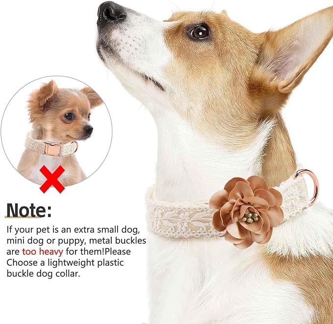 Lace Dog Collar Set Soft and Easy to Clean Handmade Embroidered Dog Collar with Leash for Medium Dogs Cute Dog Flower Girl Wedding Collar with Bow for Small Medium Large Dogs (White,M)
