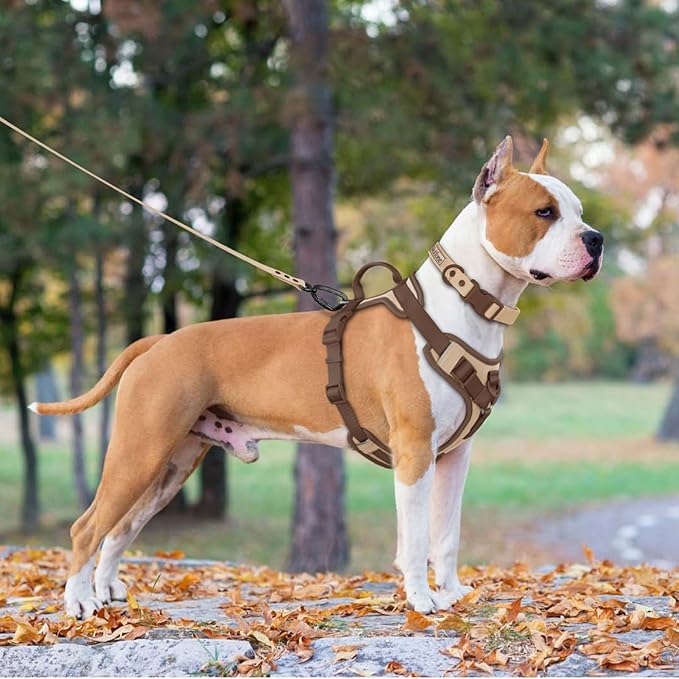 No Pull Dog Harness Adjustable Soft Padded Pet Vest with Control Handle Adorable Daily Harness for Dogs（Cookie Chocolate L）