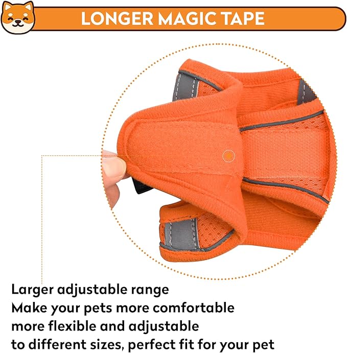 Dog Harness with Leash Set, No-Pull Step-in Reflective Pet Harness with 1 Leash Clips, Adjustable Soft Padded Easy Walk Dog Vest for Small Medium Large Dogs, Cats(Bright Orange, Small)